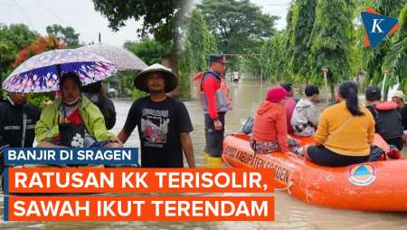 Banjir di Sragen Bikin Ratusan KK Terisolir, Puluhan Hektare Sawah Siap Panen Terancam