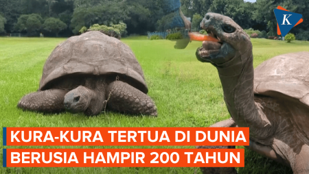 Dikabarkan Mati, Kura-kura Tertua Di Dunia Ternyata Masih Hidup Di Usia 193 Tahun