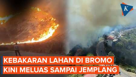 Penampakan Kebakaran Bromo, Kini Sudah Meluas sampai Jemplang