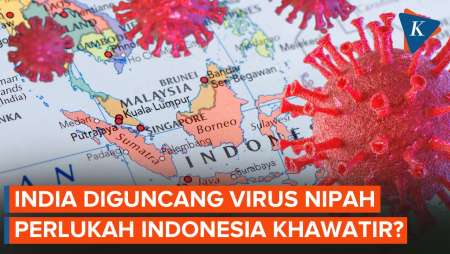 Virus Nipah Renggut 2 Nyawa di India, Perlukah Indonesia Khawatirkan Penyebarannya?