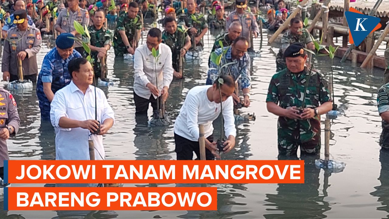 Momen Jokowi Tanam Mangrove Bersama Prabowo
