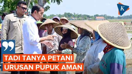 Jokowi Pastikan Pupuk di Jateng Tak Ada Masalah