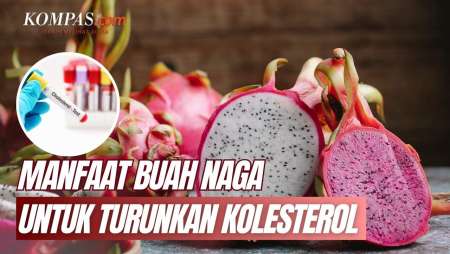 Buah Naga Bisa Turunkan Kolesterol Tinggi, Ini Penjelasannya