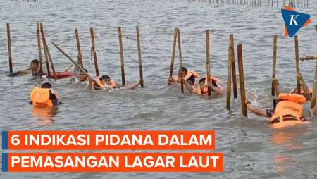 Ombudsman Temukan 6 Indikasi Pidana dalam Kasus Pagar Laut, Apa Saja?