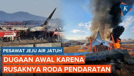 Pesawat Jeju Air Jatuh di Bandara Muan Diduga karena Rusaknya Roda Pendaratan