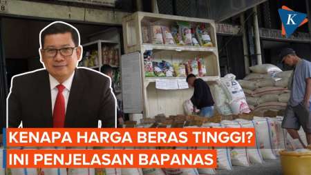 Penyebab Harga Beras Naik Menurut Bapanas