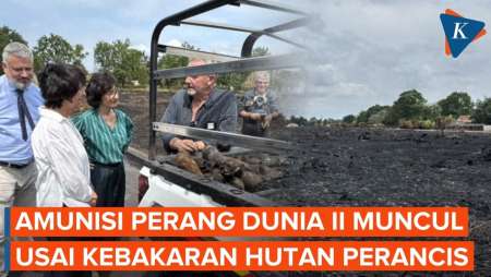 Penampakan Amunisi Perang Dunia II Yang Ditemukan Setelah Kebakaran Hutan Perancis