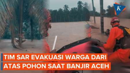 Detik-detik Evakuasi Warga Dari Atas Pohon Saat Banjir Aceh