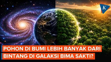 Jumlah Pohon Di Bumi Ternyata Lebih Banyak Daripada Bintang Di Bima Sakti, Benarkah?