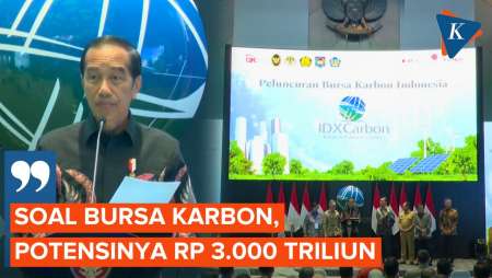 Jokowi: Indonesia Punya Potensi Kredit Karbon Rp 3.000 Triliun