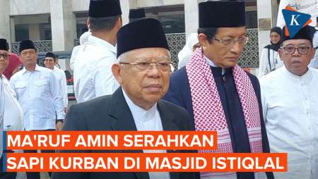 Momen Wapres Ma'ruf Amin Wakili Jokowi Serahkan Sapi Kurban di Masjid Istiqlal