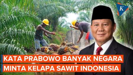 Prabowo Sebut Banyak Negara Ngadu Butuh Kelapa Sawit dari Indonesia