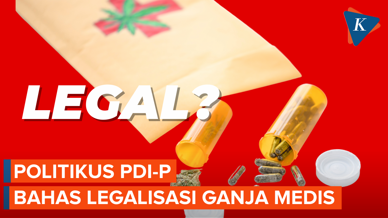 Politikus PDI-P Bahas soal Legalisasi Ganja Medis, Jangan Latah