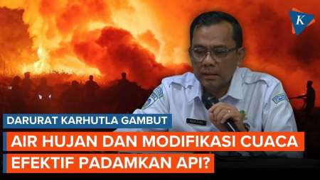 Karhutla Sulit Dipadamkan, BMKG Bongkar Rahasia "Api Bawah Tanah" Lahan Gambut