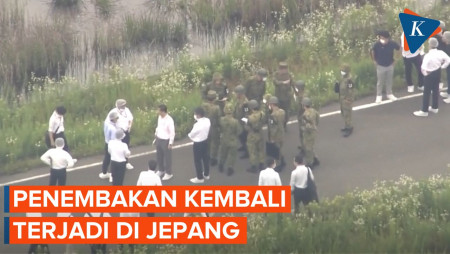 Jepang Gaduh soal 2 Tentara Tewas Ditembak, Masalah Apa?