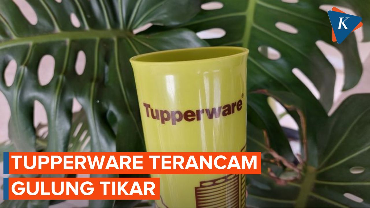 Rebranding Dianggap Gagal, Saham Tupperware Terus Menurun