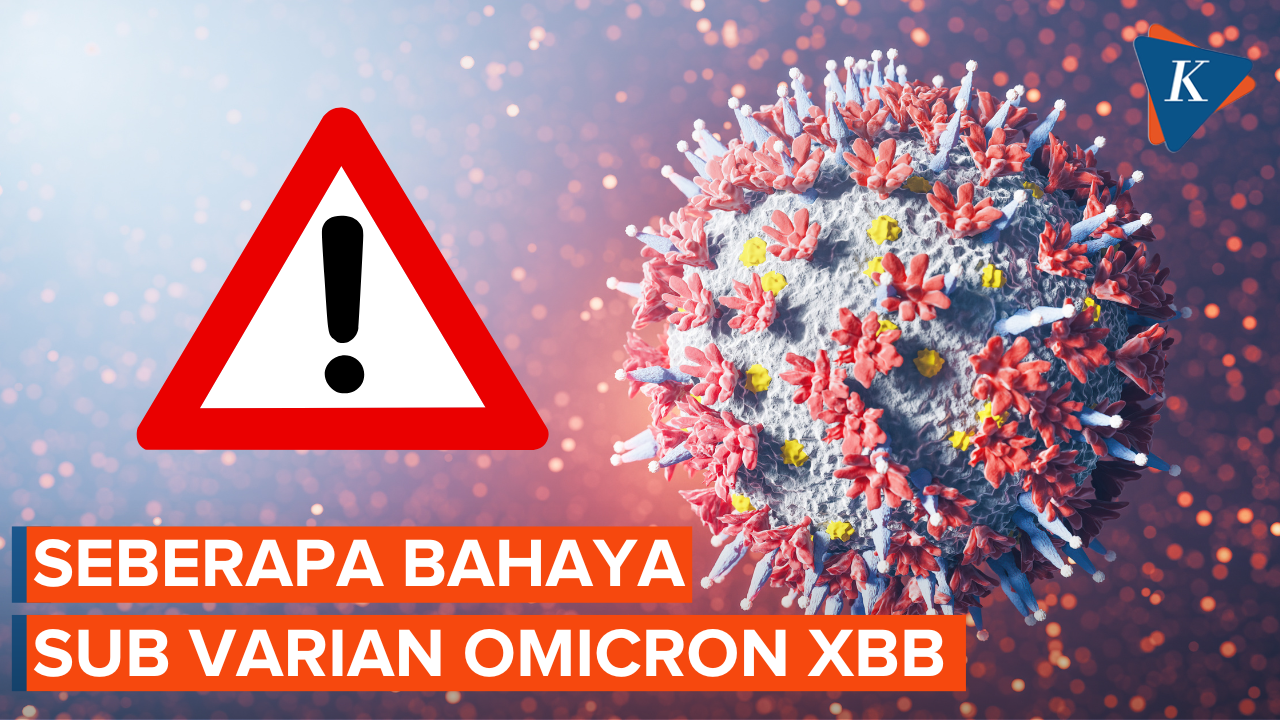 Tingkat Infeksi Melebihi Delta, Seberapa Bahaya Sub Varian Omicron XBB?