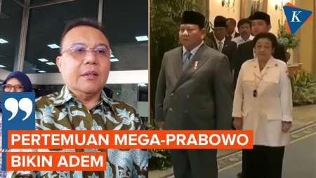 Dasco Jelaskan Makna Pertemuan Megawati dan Prabowo