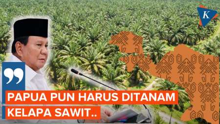 Prabowo Ingin Papua Ditanami Sawit