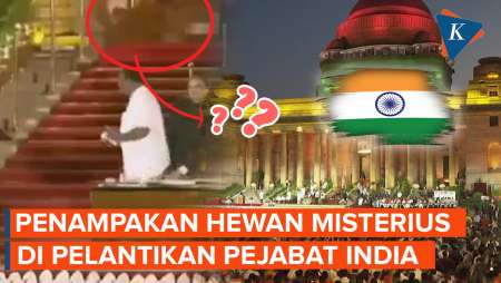 Detik-detik Hewan Misterius Muncul di Istana Presiden India, Samar-samar Jalan di Karpet Merah