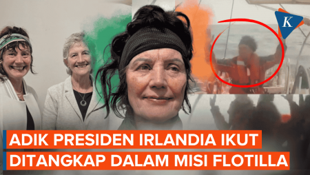 Adik Presiden Irlandia Ikut Diculik Israel Dalam Pencegatan Misi Flotilla