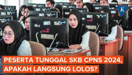 Penjelasan BKN soal Status Peserta Tunggal SKB CPNS 2024