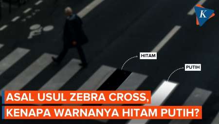 Asal Usul Zebra Cross dan Kenapa Warnanya Jadi Hitam-Putih?