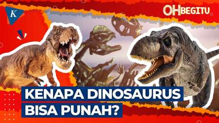 Dinosaurus, Hewan Purba yang Hidup Sebelum Ada Manusia