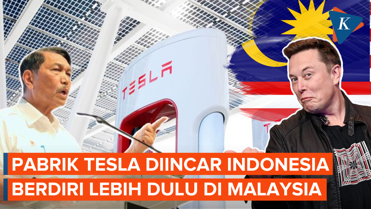 Respons Luhut usai Tesla Buka Pabrik di Malaysia