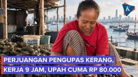 Kisah Pengupas Kerang Pesisir Jakarta: Kerja 9 Jam Upah Rp 80.000, Tak Mau Anak Bernasib Sama