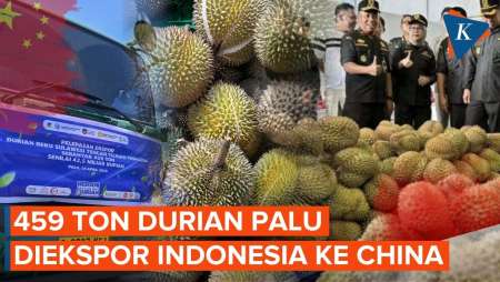 China Impor Durian Palu Indonesia, Nilainya Rp 42,5 Miliar!
