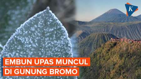 Penampakan Embun Upas yang Menyelimuti Gunung Bromo di Pagi Hari