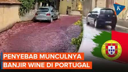 Menyelisik Penyebab Munculnya Banjir Wine di Portugal