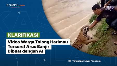 [KLARIFIKASI] Video Warga Tolong Harimau Terseret Arus Banjir Dibuat Dengan AI
