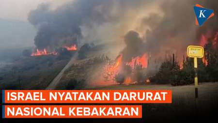 Israel Darurat Nasional Usai Dilanda Kebakaran Hebat Dekat Yerusalem