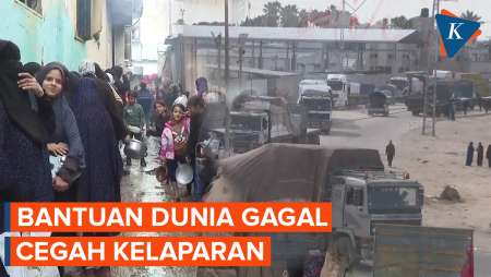 Kelaparan Massal, Warga Gaza Mengemis demi Sepotong Roti