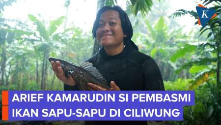 Berburu Ikan Sapu-Sapu Di Sungai Ciliwung