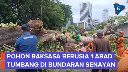 Pohon Raksasa Tumbang, Jalan Sisingamangaraja Dan MRT Lumpuh