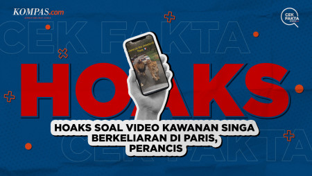 Hoaks soal Video Kawanan Singa Berkeliaran di Paris, Perancis