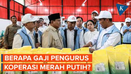 Berapa Gaji Pengurus Koperasi Merah Putih, Benarkah Capai Rp 15 Juta?