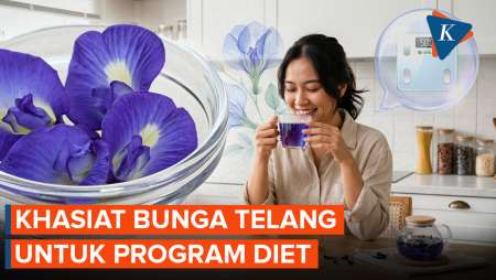 Manfaat Bunga Telang Untuk Turunkan Berat Badan