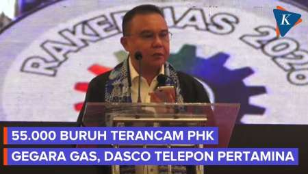 55.000 Buruh Terancam PHK Akibat Gas Mahal, Dasco Telepon Dirut Pertamina Minta Jalan Keluar