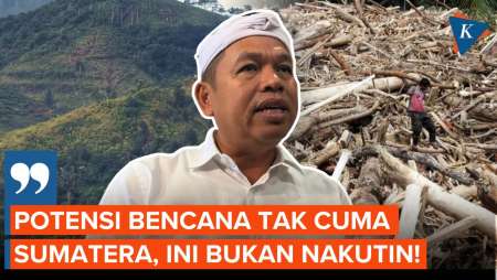 Bakal Terbitkan Moratorium Tebang Hutan, Dedi: Potensi Bencana Bukan Hanya Di Sumatera!