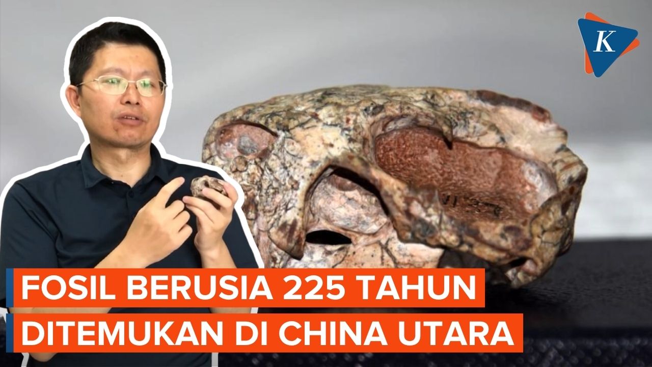 Fosil Berusia 255 Juta Tahun Ditemukan di China Utara