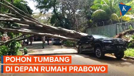 Penampakan Fortuner Ringsek Tertimpa Pohon Tumbang di Depan Rumah Prabowo