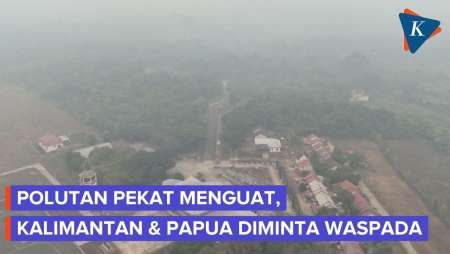 Waspada! Kabut Asap Makin Pekat Di Kalimantan Hingga Papua Akibat Karhutla