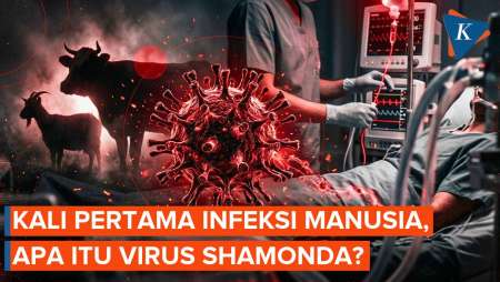 Apa Itu Virus Shamonda Yang Pertama Kalinya Menginfeksi Manusia Di Perancis?