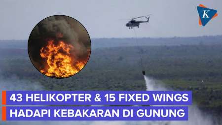 Hutan di Gunung Gede-Bromo Terbakar, Begini Siasat Pemerintah
