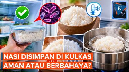 Simpan Nasi Sisa Di Kulkas: Bikin Sehat Atau Malah Jadi Racun?