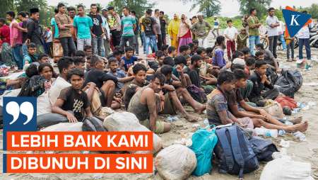 Pengungsi Rohingya Pilih Mati di Indonesia daripada Balik ke Myanmar atau Bangladesh